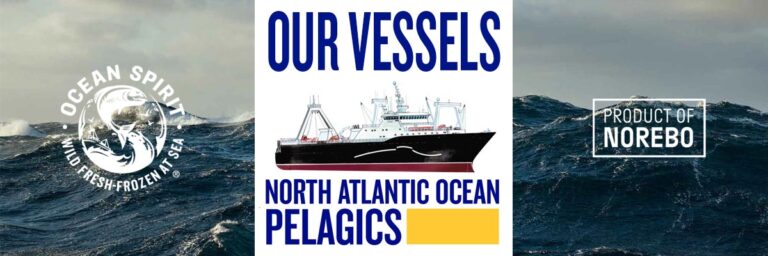 North Atlantic Ocean Pelagics