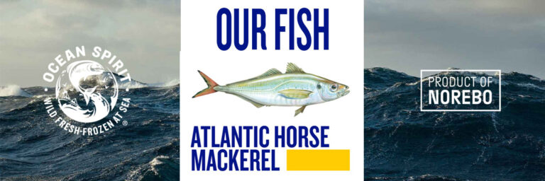 Atlantic Horse Mackerel