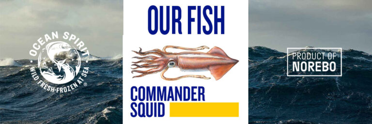 Commander Squid