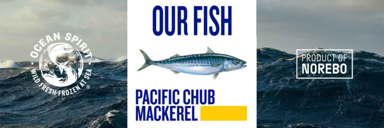 Pacific Chub Mackerel
